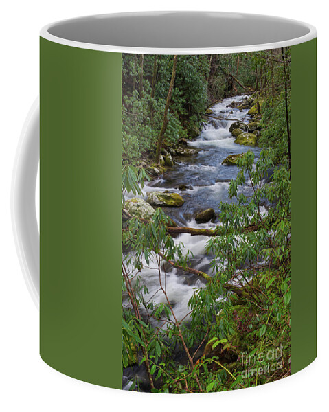 Smoky Mountains Coffee Mug featuring the photograph Thunderhead Prong 31 by Phil Perkins