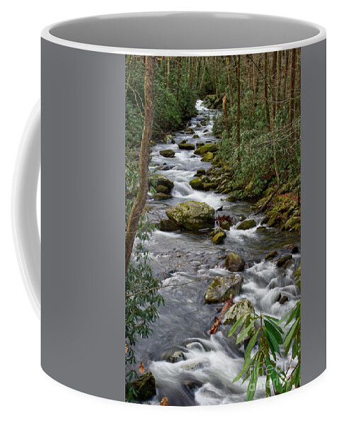 Middle Prong Trail Coffee Mug featuring the photograph Thunderhead Prong 4 by Phil Perkins