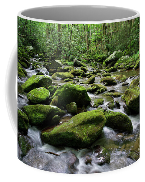 Smoky Mountains Coffee Mug featuring the photograph Thunderhead Prong 7 by Phil Perkins