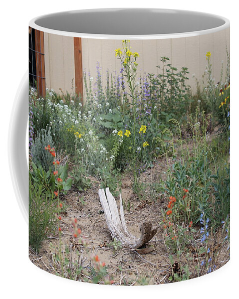 Native Wildflowers Coffee Mug featuring the photograph ThunderVisions Studio Flowerbed by Doug Miller