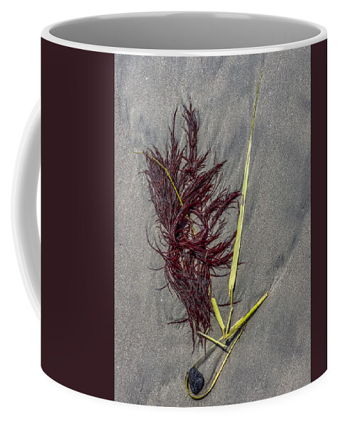 Seaweed Coffee Mug featuring the photograph Tidal Abstract by Cate Franklyn