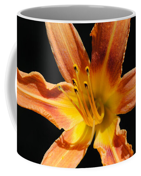 Lily Coffee Mug featuring the photograph Tiger Lily by Vallee Johnson