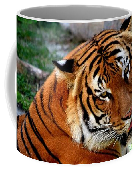 Tiger Coffee Mug featuring the photograph Tiger Photo 143 by Lucie Dumas