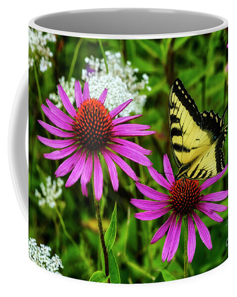 Purple Cone Flower Coffee Mug featuring the photograph Tiger Swallowtail Feeding on Echinacea by Thomas R Fletcher