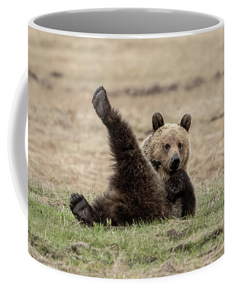 Grizzly Bear Coffee Mug featuring the photograph Time for Yoga by Julie Barrick