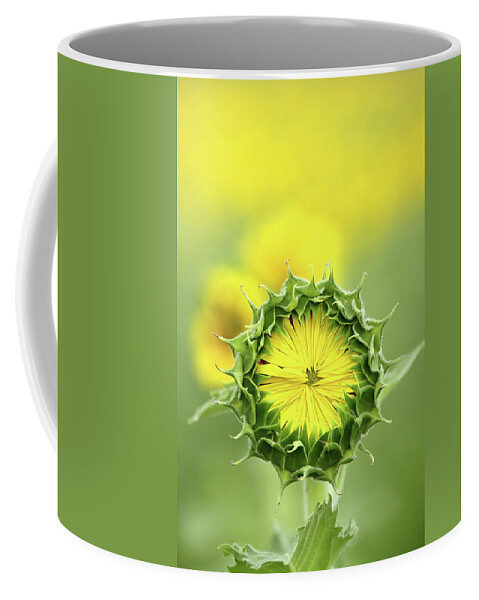 Sunflower Coffee Mug featuring the photograph Time To Wake Up by Lens Art Photography By Larry Trager