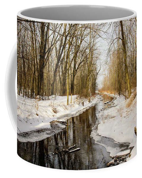Tiny Marsh Coffee Mug featuring the photograph Tiny Marsh Wildlife Reserve by James Canning