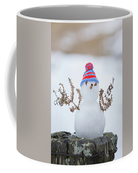 Snowman Coffee Mug featuring the photograph Tiny Snowman with a wooly hat by Anita Nicholson