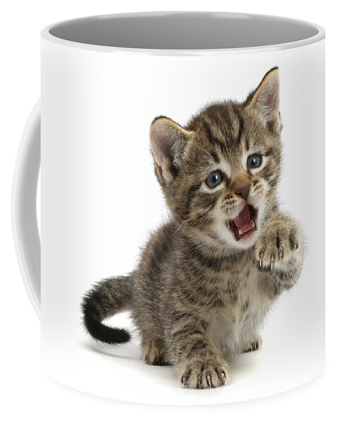 Small Coffee Mug featuring the photograph Tiny Tiger is Fierce by Warren Photographic