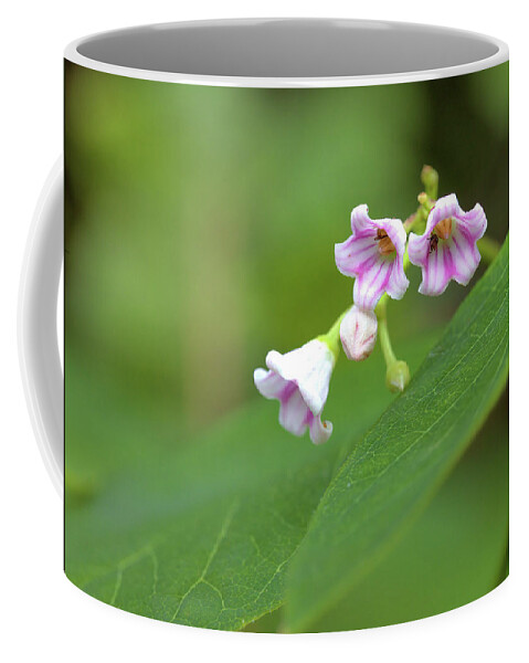 Wildflowers Coffee Mug featuring the photograph Tiny Wildflowers by Bob Falcone