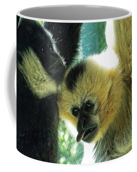 Animal Coffee Mug featuring the photograph Tired Of Hanging by David Desautel