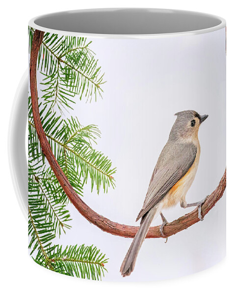 Bird Coffee Mug featuring the photograph Titmouse Tranquility by Peg Runyan
