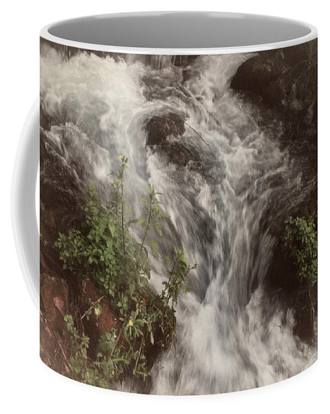 Israel Coffee Mug featuring the photograph To The Jordan River by M Kathleen Warren