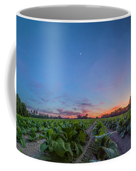 Sunset Coffee Mug featuring the photograph Tobacco Sunset by Melissa Southern