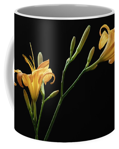 Daylily Coffee Mug featuring the photograph Together for Today by Maggie Terlecki