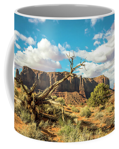 Scenic Landscapes Coffee Mug featuring the photograph Toll Of The Desert by John Bartelt