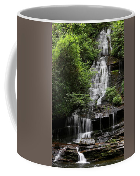Tom Branch Falls Coffee Mug featuring the photograph Tom Branch Fall In The Great Smoky Mountains National Park At Deep Creek II by Carol Montoya