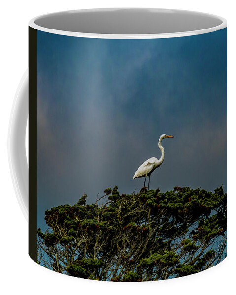 Bird Coffee Mug featuring the photograph Top Of The World by Cathy Kovarik