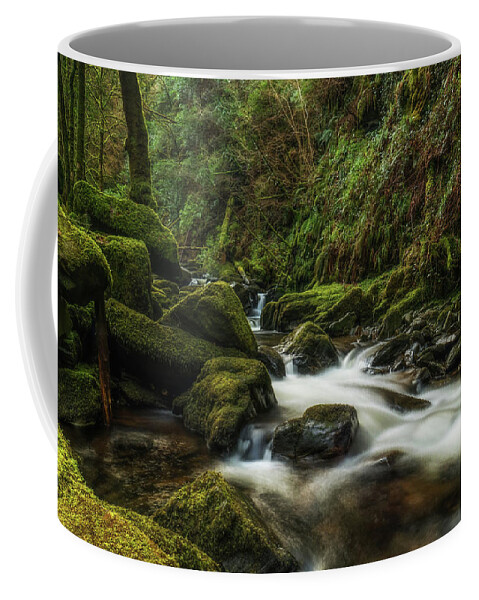 Ireland Coffee Mug featuring the photograph Torc Waterfall by Arthur Oleary
