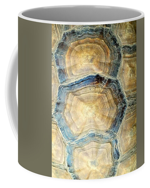 Tortoise Coffee Mug featuring the photograph Tortoise Trio Rings by Suzy Piatt