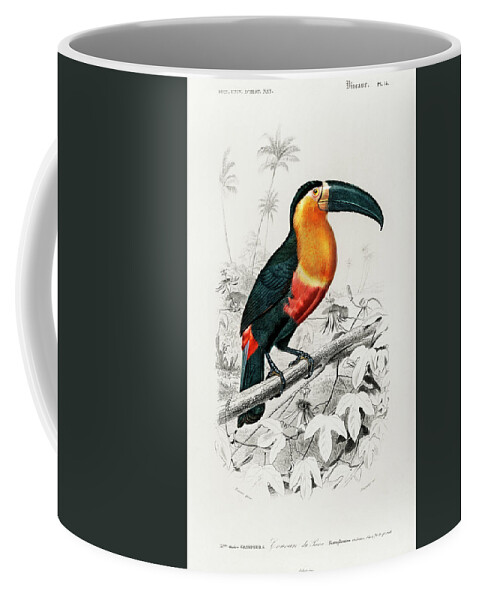 Toucan Coffee Mug featuring the mixed media Toucan by World Art Collective