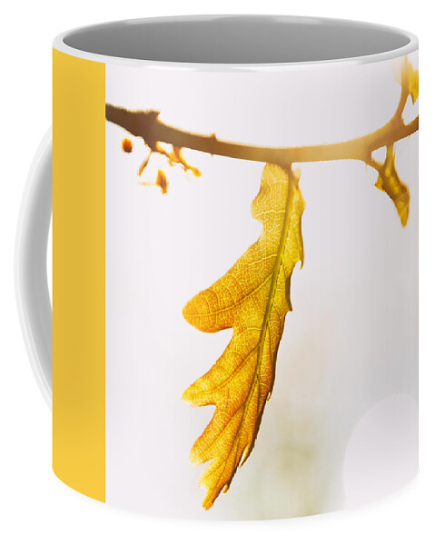 Wind Coffee Mug featuring the photograph Touch of sun 2 by Jaroslav Buna