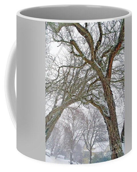 Trees Coffee Mug featuring the photograph Towering Tango by Kimberly Furey