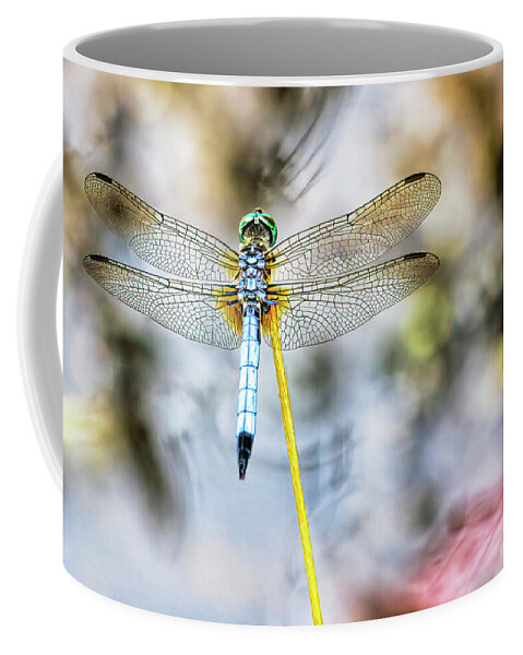 Dragonfly Coffee Mug featuring the photograph Towpath Dragonfly by Francis Sullivan