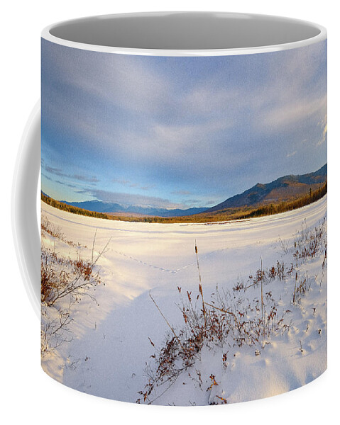 New Hampshire Coffee Mug featuring the photograph Tracks In The Snow, Cherry Pond. by Jeff Sinon