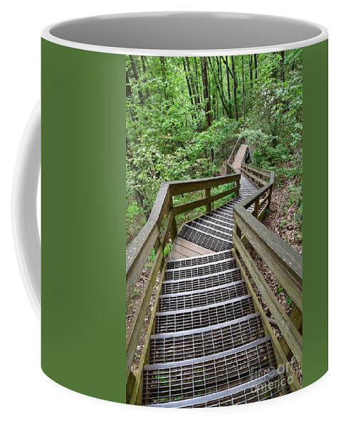 Hemlock Falls Coffee Mug featuring the photograph Trail At Hemlock Falls 1 by Phil Perkins
