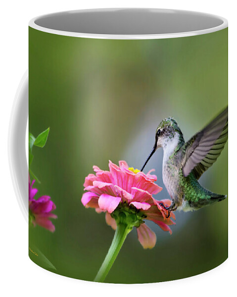 Hummingbird Coffee Mug featuring the photograph Tranquil Joy by Christina Rollo