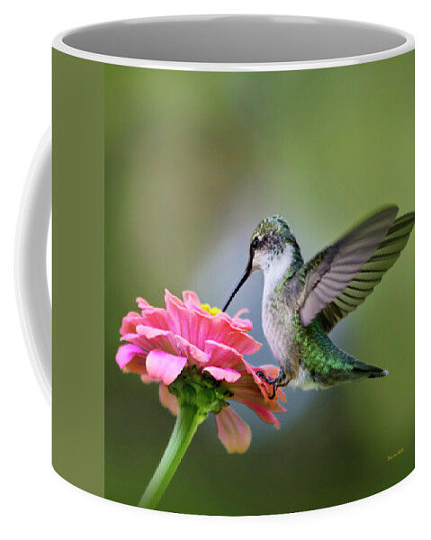 Hummingbird Coffee Mug featuring the photograph Tranquil Joy Hummingbird Square by Christina Rollo