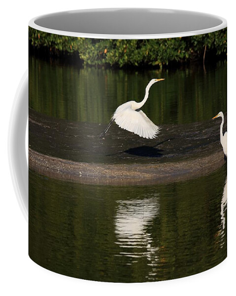 Great Egret Coffee Mug featuring the photograph Tranquil Scenery 1 by Mingming Jiang