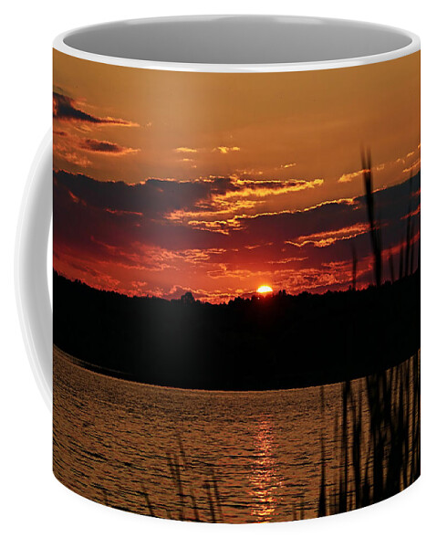 Peacful Coffee Mug featuring the photograph Tranquility by Mary Walchuck