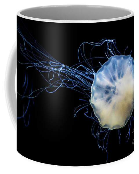 Poster Coffee Mug featuring the photograph Transparent Jellyfish With Long Poisonous Tentacles by Andreas Berthold