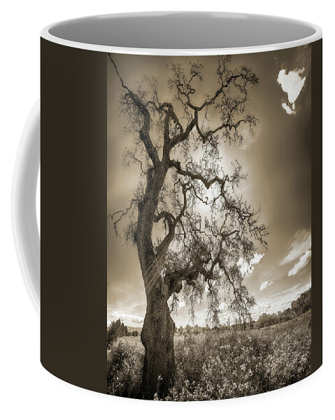 Tree Coffee Mug featuring the photograph TREE AND LIFE, SEPIA, California by Don Schimmel