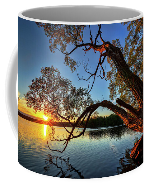 Maine Coffee Mug featuring the photograph Tree at Sunset a0110 by Greg Hartford