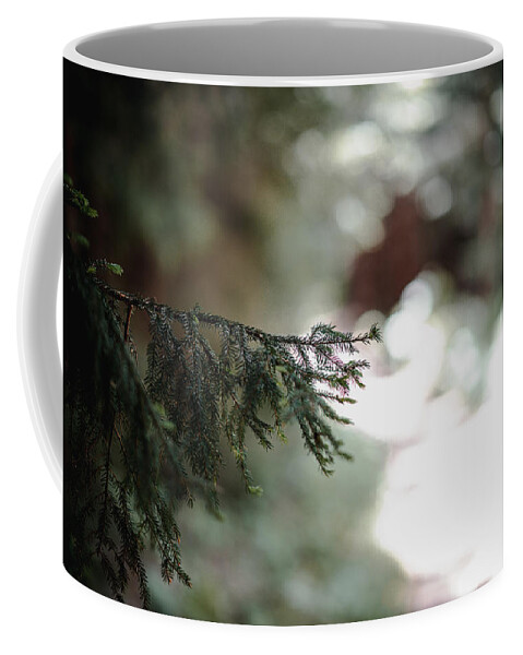 Photography Coffee Mug featuring the photograph Tree Branch Along the Path by Evan Foster