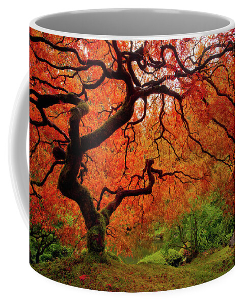 Fall Coffee Mug featuring the photograph Tree Fire - New and Improved by Darren White