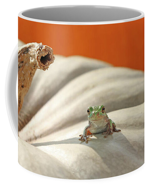 Tree Frog Coffee Mug featuring the photograph Tree Frog 4830 by Jack Schultz