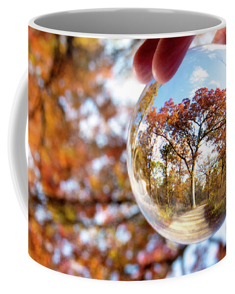 Tree In An Orb Coffee Mug featuring the photograph Tree in an Orb by Patty Colabuono