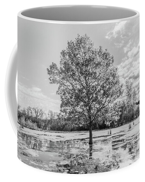 Drone Coffee Mug featuring the photograph Tree in the Swamp Black and White by John McGraw