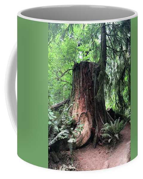Tree Coffee Mug featuring the photograph Tree Life by Grey Coopre
