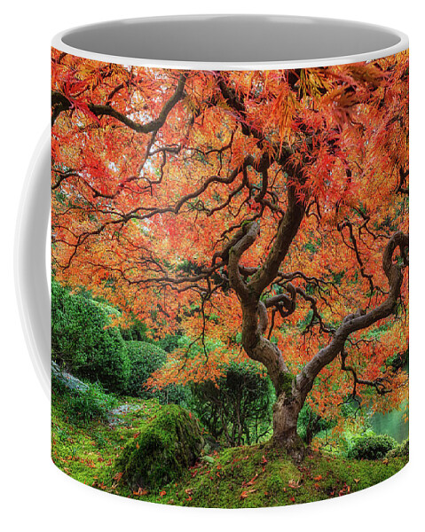 Japanese Coffee Mug featuring the photograph Tree of Fire by Chuck Rasco Photography