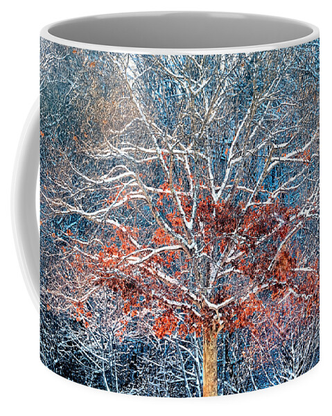 Tree Coffee Mug featuring the photograph Tree of Two Seasons by Janice Drew