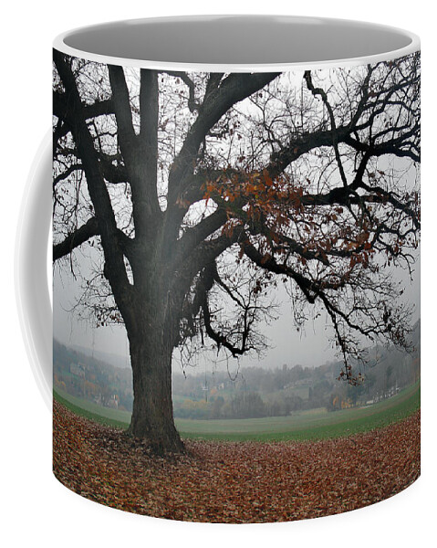 Lone Coffee Mug featuring the photograph Tree on a Hill by Gordon Beck