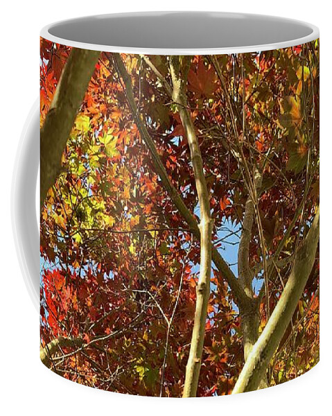 Tree Coffee Mug featuring the photograph Tree on Fire by Lee Darnell