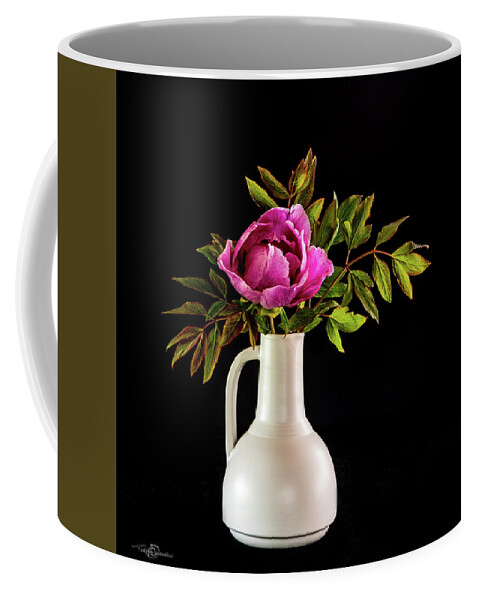 Tree Peony Coffee Mug featuring the photograph Tree peony Lan He Paeonia suffruticosa rockii in a white vase on a black background by Torbjorn Swenelius