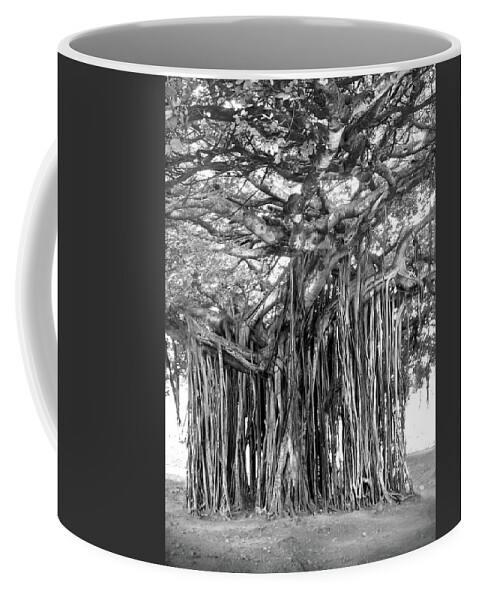 Fine Art Coffee Mug featuring the photograph Tree with Many Trunks by Mike McGlothlen