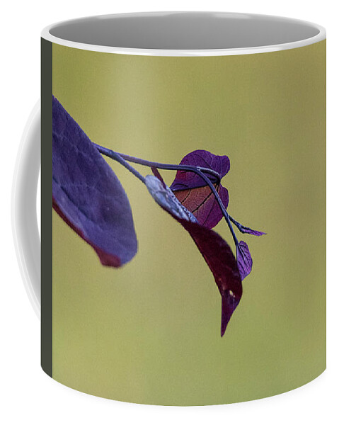 Redbud Coffee Mug featuring the photograph Treebud by David Beechum